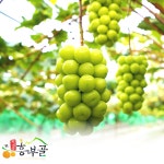 지리산청학농협하나로마트횡천점 | 지리산농협 하나로마트