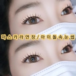 따담속눈썹 오송점