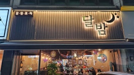 달밤
