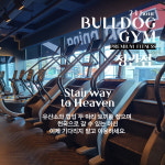 불독짐 정관점 PTXB스피닝 해머스트렝스 오피셜센터