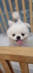 슬로독