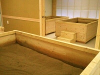 노블레스 효소테라피