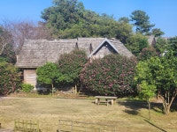 통나무파크 캠핑 바베큐 식당