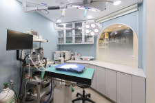 에이플러스동물병원