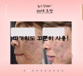 루덴스