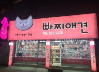 빠찌애견