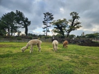 통나무파크 캠핑 바베큐 식당