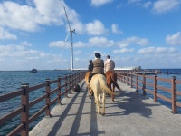 신창풍차해안행복승마