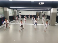 한국체대파워태권도