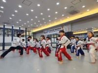 단국대백호태권도장