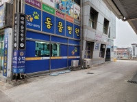 봄내동물병원