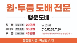 행운 도배장판
