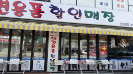꼬리치는 강아지
