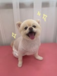 댕스얼랏