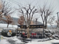 샛별반점 광릉수목원 본점