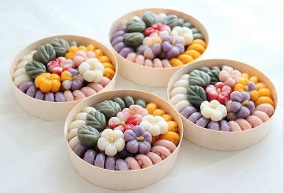 늘예솔 사진