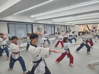 수림효태권도