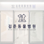 안양김준동물병원