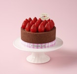 투썸플레이스 대구사월강변점