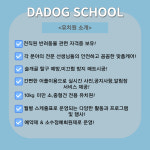 다독 스쿨