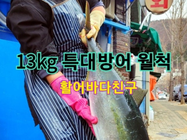 활어바다친구