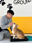 컴피그라운드