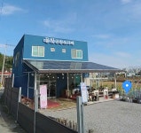 물빛