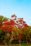 1001 안경 콘택트 평택이충점