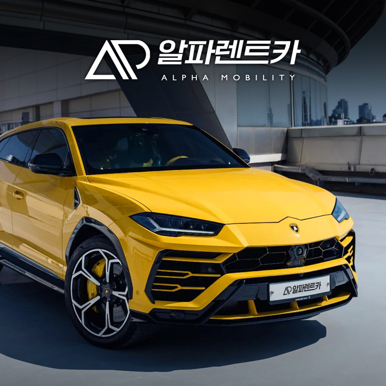 알파렌트카 마곡영업소