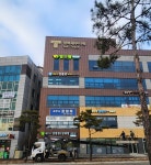 힐스템 죽백점