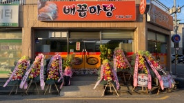 배꼽마당
