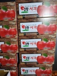 에덴청과모스테라