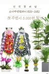 강릉아산병원장례식장근조화환꽃집