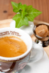 cafe돌하우스월드