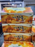 에덴청과모스테라