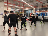 주짓수 복싱 mma 팀그로우