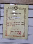 태비 태권도