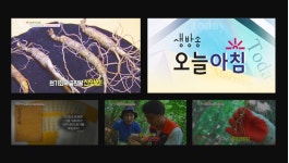 삼모아