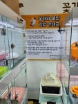 고양이분양 꽃개와 꽃냥 인천 청라점