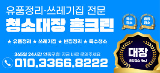 청소대장홈크린