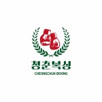 청춘복싱