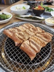 갈비둥지