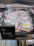 캠프 파지립