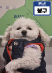 모모부동산케어공인중개사사무소
