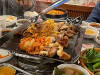 평화김해뒷고기 정관점