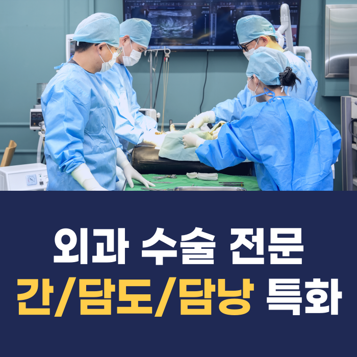 24시 아프리카동물병원