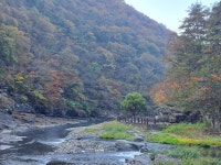 상춘가