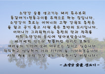 소양강숯불생고기