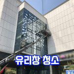 클린업플러스