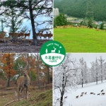 초록뿔언덕사슴목장